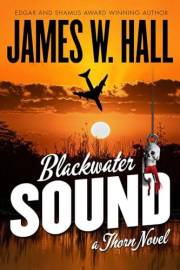 Blackwater Sound: A Thorn Novel