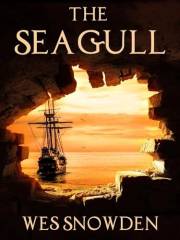 The Seagull: A thrilling blend of adventure, intrigue, love, and redemption.