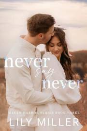 Never Say Never: A Small Town Frienamies-to-Lovers Romance (Haven Harbor Book 3)