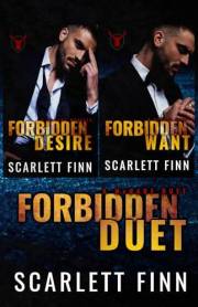 Forbidden Duet: Forbidden Desire & Forbidden Want: Irish Mafia Antihero Forbidden Romance (Forbidden Novels Book 3)