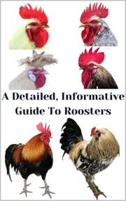 A Detailed, Informative Guide To Roosters (The Detailed Homestead Flock Series)