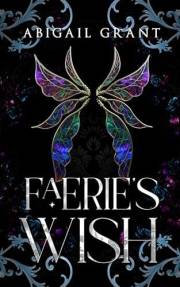 Faerie's Wish: The Wish Trilogy: Book 1 (Enemies to Lovers Romantasy)
