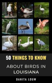 50 Things to Know About Birds in Louisiana : Birding in the Pelican State (50 Things to Know About Birds & Birdwatching: Bird