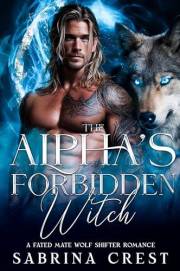The Alpha's Forbidden Witch: A Fated Mate Wolf Shifter Romance (The Veilborn Prophecy Series)