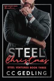 Steel Christmas: When grumpy meets sunshine (Steel Ventures Book 3)