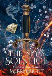 The Spy's Solstice (The Lost Lines Book 8)