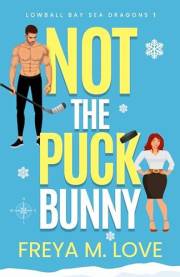 Not the Puck Bunny: An enemies to lovers, workplace romantic comedy (Lowball Bay Sea Dragons Book 1)