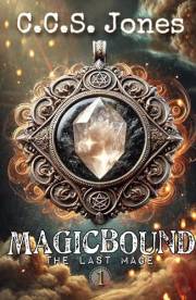 Magicbound: The Last Mage Series