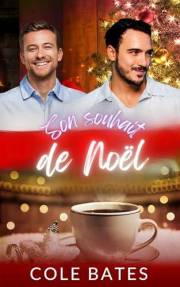 Son Souhait de Noël: Romance de Noël Gay (French Edition)