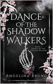 Dance of the Shadow Walkers: A M/M Slow Burn Dark Fantasy