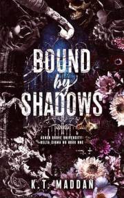 Bound By Shadows: Delta Sigma Nu Book One (Ashen Grove University 1)