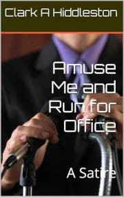 Amuse Me and Run for Office: A Satire