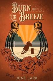 Burn the Breeze: An Enemies to Lovers, Bodyguard Cowboy Romance with Suspense (Thornbrush Ranch, #2)