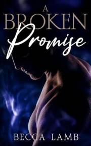 A Broken Promise: A Spicy, Age Gap Romance (The Koa Collection Book 6)