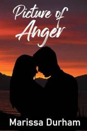 Picture of Anger: Grief in the Low Country book 1