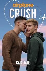 Airplane Crush: MM Short Story Romance