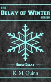Delay of Winter: Snow Delay: A Spicy LGBTQ+ Small Town Hockey Romance (The Delay of Winter Series Book 1)