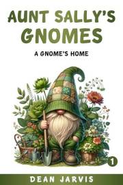 Aunt Sally's Gnomes