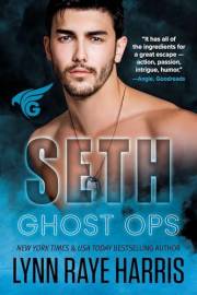 Seth: A Small Town, Enemies to Lovers, Military Protector Romance (Ghost Ops Book 3)