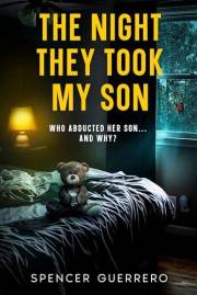 THE NIGHT THEY TOOK MY SON