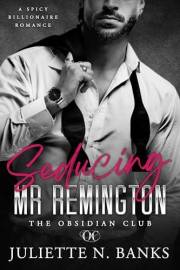 Seducing Mr Remington: Spicy Billionaire Romance (The Obsidian Series Book 1)