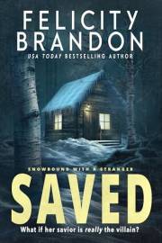 Saved: A Forced Proximity Dark Romance (Snowbound with a Stranger Book 1)