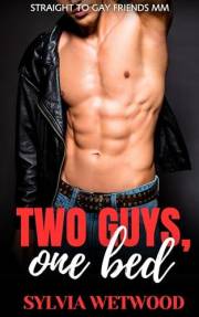 Two Guys, One Bed: Straight to Gay Friends MM