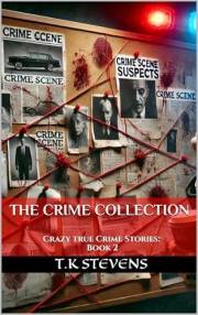 The Crime Collection: Crazy Crime Stories Book 2