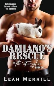 Damiano's Rescue: An Opposites Attract, Forced Proximity, Spicy Mafia Romance (The Famiglia Book 1)