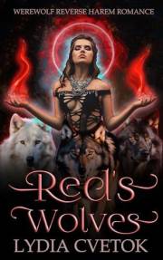 Red's Wolves: Werewolf Reverse Harem Romance (Red Riding Hood's Werewolf Harem Book 1)