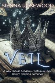 VEIL: A Why Choose Academy Fantasy Reverse Harem Knotting Romance (THE MIDNIGHT ACADEMY)