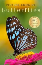 Picture Book of Butterflies: 80 Stunning Photos & Facts, for Dementia Patients and Seniors with Alzheimer's (Uplifting Pictur