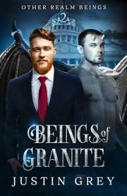 Beings Of Granite (Other Realm Beings Book 2)