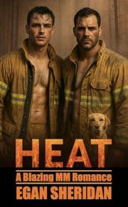 HEAT: A Blazing MM Romance