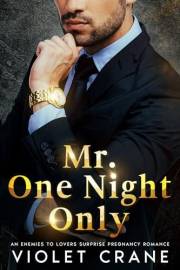Mr. One Night Only: An enemies to lovers surprise pregnancy romance