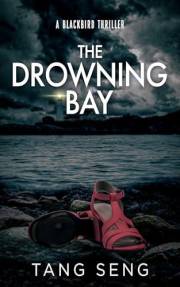 The Drowning Bay: A Vigilante Justice Legal Thriller (Blackbird)