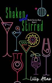 Shaken and Stirred (Bottle Service Boys Book 1)