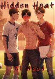 Hidden Heat: Northern Heat Book 1: A Gay Omegaverse College Sports Romance