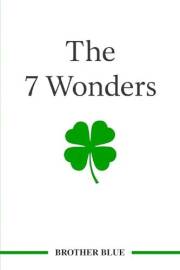 The 7 Wonders: Mindfulness, Gratitude, Positive Self-Reflection, Resilience, Empathy, Kindness and Compassion (Brother Blue B