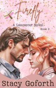 Firefly: An Enemies to Lovers Small Town Romance (A Lancaster Novel Book 2)