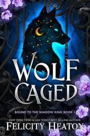 Wolf Caged (Bound to the Shadow King Book 1)