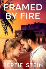 Framed By Fire (Seashore Cove Series Book 1)
