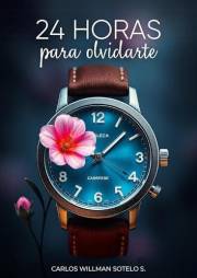 24 horas para olvidarte (Spanish Edition)