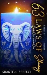 63 Laws of Shanny