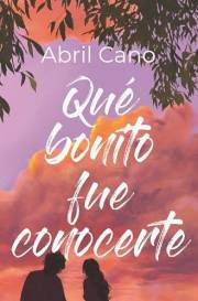 Qué bonito fue conocerte (Spanish Edition)