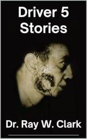 Driver 5 Stories
