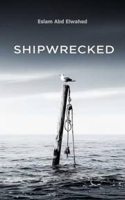 Shipwrecked: 100 Real-Life Tales of Sunken Ships and Lost Voyages (Disasters & Accidents)