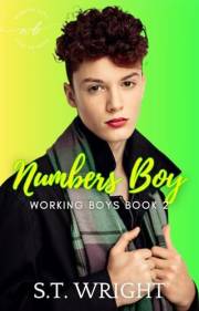 Numbers Boy (Working Boys Book 2)