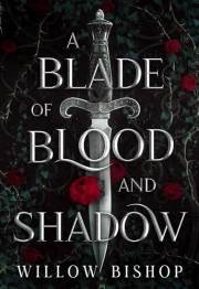 A Blade of Blood and Shadow: A Slow-Burn Fantasy Romance (The Ravaged Kingdom Book 1)