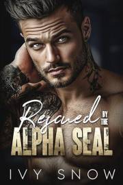 Rescued by the Alpha SEAL: A Small Town Romantic Suspense (Iron Hollow Protectors Book 1)